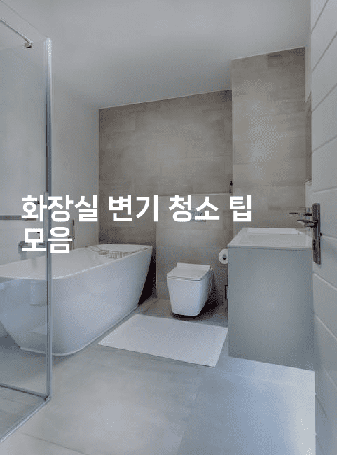 화장실 변기 청소 팁 모음