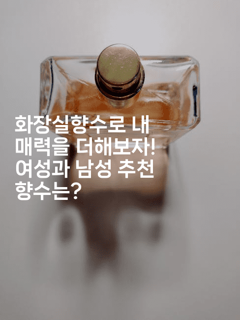 화장실향수로 내 매력을 더해보자! 여성과 남성 추천 향수는?2-뿅망치 생활정보