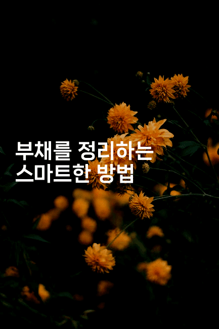 부채를 정리하는 스마트한 방법-뿅망치 생활정보