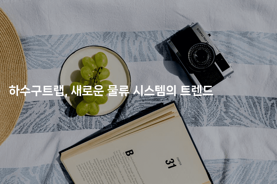 하수구트랩, 새로운 물류 시스템의 트렌드2-뿅망치 생활정보