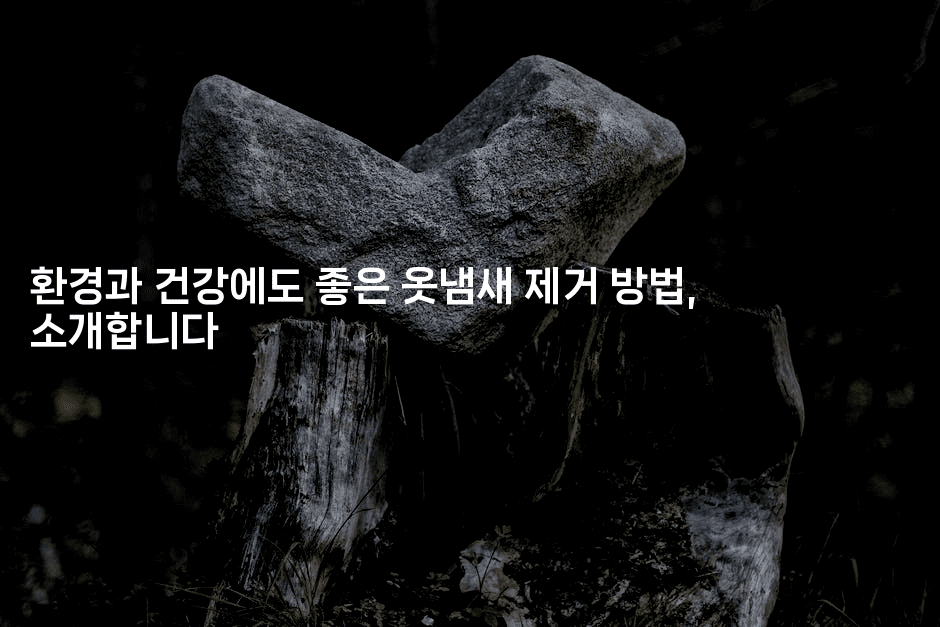 환경과 건강에도 좋은 옷냄새 제거 방법, 소개합니다2-뿅망치 생활정보