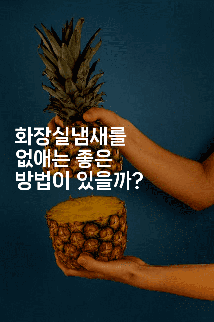 화장실냄새를 없애는 좋은 방법이 있을까?-뿅망치 생활정보