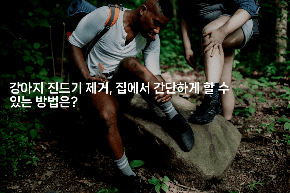 강아지 진드기 제거, 집에서 간단하게 할 수 있는 방법은?2-뿅망치 생활정보