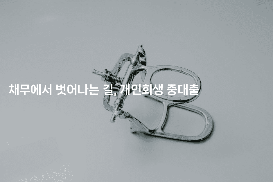 채무에서 벗어나는 길, 개인회생 중대출-뿅망치 생활정보