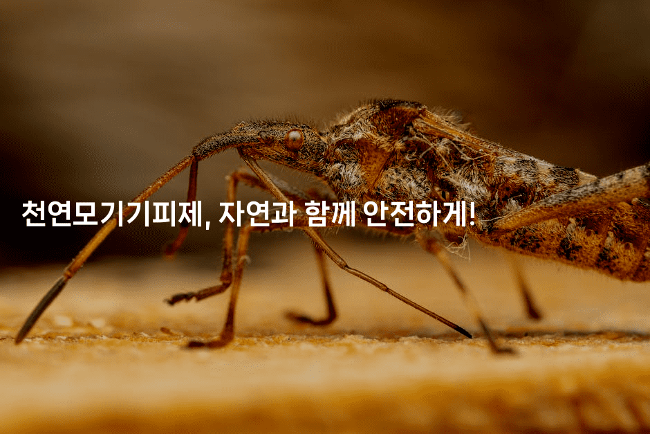 천연모기기피제, 자연과 함께 안전하게! -뿅망치 생활정보