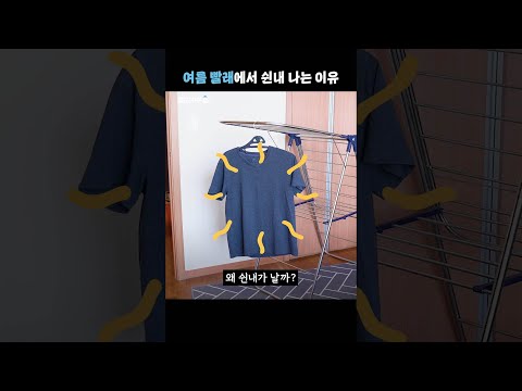 여름철 빨래에서 나는 꿉꿉한 냄새의 정체 #shorts