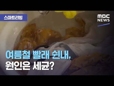 [스마트 리빙] 여름철 빨래 쉰내, 원인은 세균? (2020.08.25/뉴스투데이/MBC)