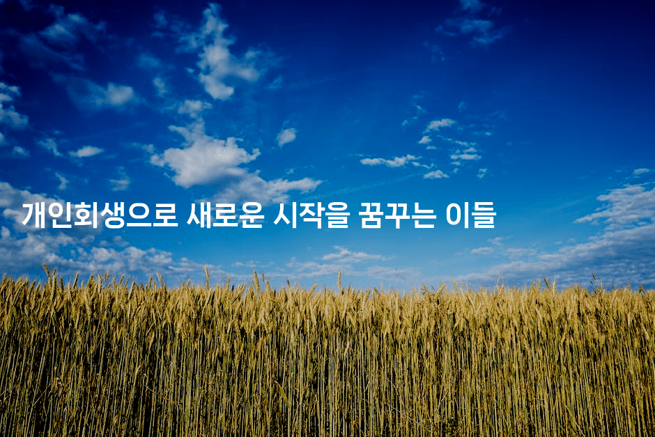 개인회생으로 새로운 시작을 꿈꾸는 이들-뿅망치 생활정보