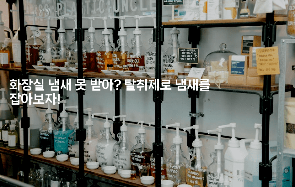 화장실 냄새 못 받아? 탈취제로 냄새를 잡아보자! -뿅망치 생활정보