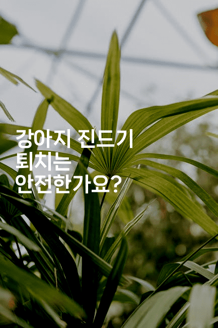 강아지 진드기 퇴치는 안전한가요?-뿅망치 생활정보