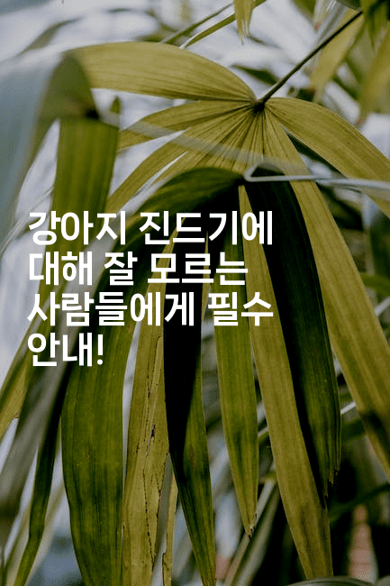 강아지 진드기에 대해 잘 모르는 사람들에게 필수 안내!-뿅망치 생활정보