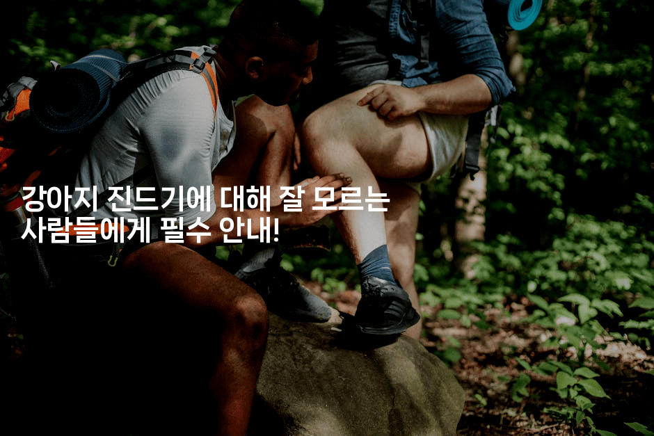 강아지 진드기에 대해 잘 모르는 사람들에게 필수 안내!2-뿅망치 생활정보