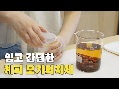 여름철 모기퇴치제 만들기 | 모기기피제