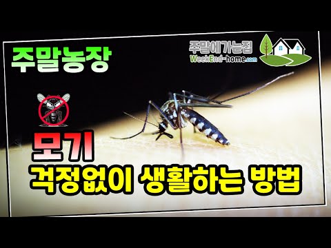 모기 좀 제발! 주말농장에서 꼭 필요한 모기퇴치 아이템 3