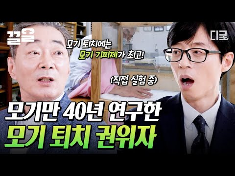 [#유퀴즈온더블럭] 엄청나게 커다란 모기가 내 발을 물었어!? 40년 모기 박사님이 인정한 '모기 퇴치 방법' 大공개