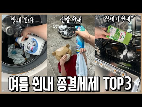 쉰내 없애주는 인생세제들 공개! 빨래, 크록스, 식세기 여름 쉰내 개박살 세탁세제 베스트3ㅣ내돈내산