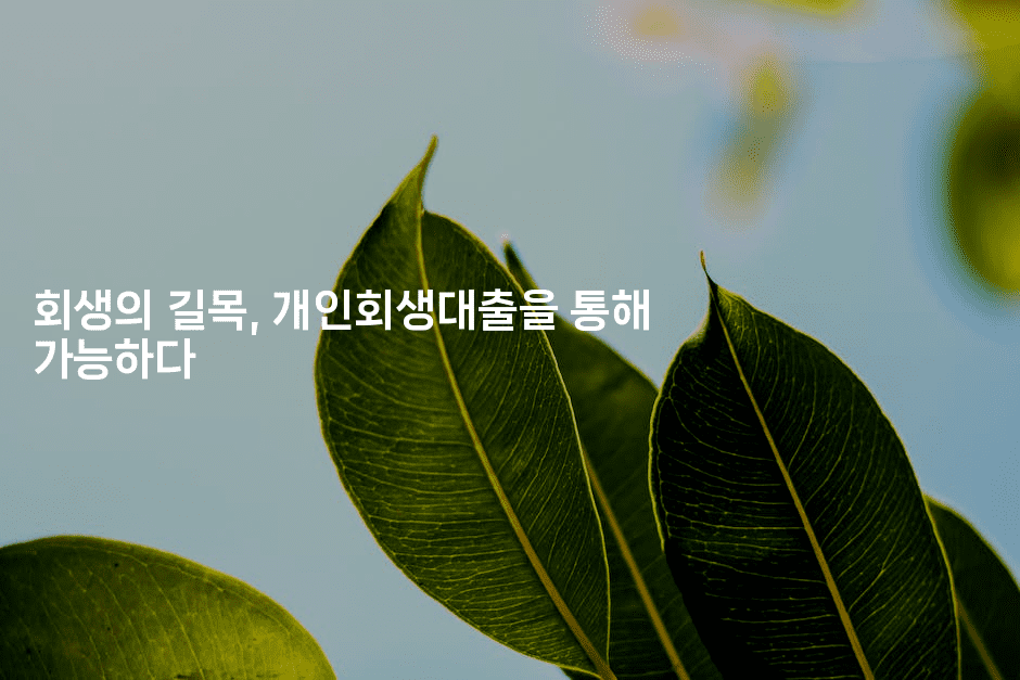 회생의 길목, 개인회생대출을 통해 가능하다-뿅망치 생활정보