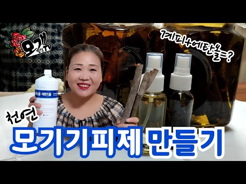 모개의일상 | 계피로 3분 만에 만드는 천연 ‘모기기피제’ 만들기 | 간단하면서도 쉽고 효과 있는 ‘모기퇴치제’ | 계피 스프레이 만들기