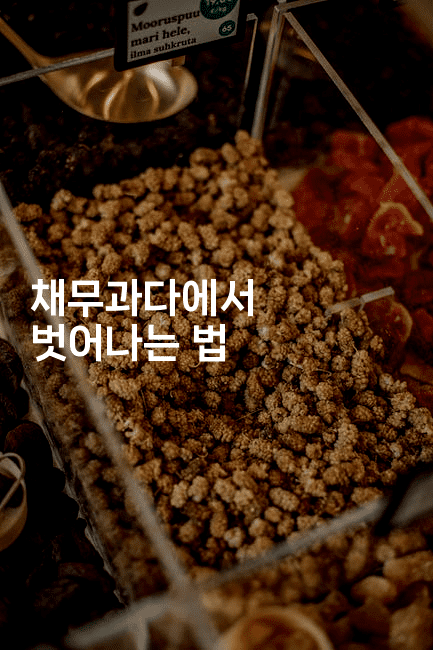 채무과다에서 벗어나는 법-뿅망치 생활정보