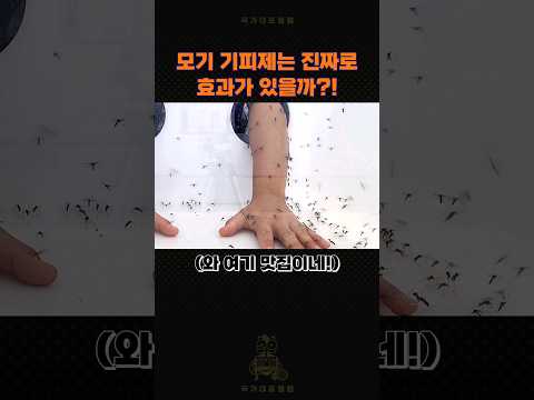 모기 기피제 정말 효과있는지 직접 물려보았습니다