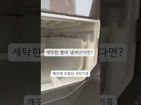 세탁기 냄새 제거 꿀팁! #세탁기청소방법