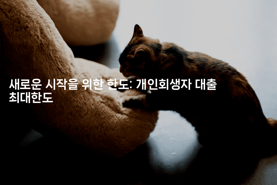 새로운 시작을 위한 한도: 개인회생자 대출 최대한도-뿅망치 생활정보