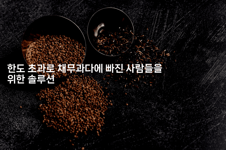 한도 초과로 채무과다에 빠진 사람들을 위한 솔루션-뿅망치 생활정보