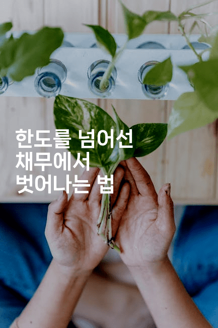 한도를 넘어선 채무에서 벗어나는 법-뿅망치 생활정보