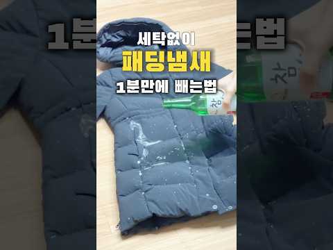 1분 셀프 스타일러 | 1분 패딩 냄새제거법 | 세탁없이 코트 냄새제거