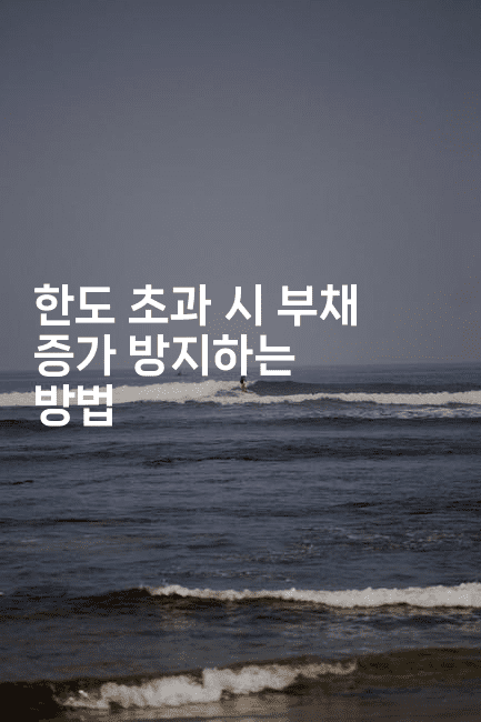 한도 초과 시 부채 증가 방지하는 방법-뿅망치 생활정보